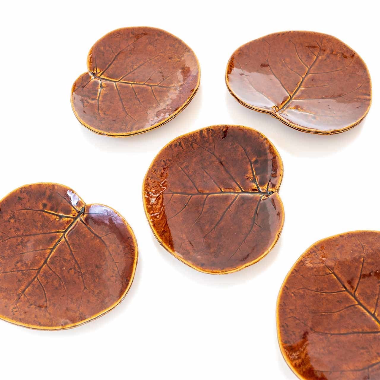 陶Factory509 浜辺葡萄葉皿